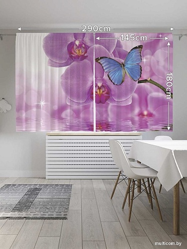 JoyArty Бабочка на орхидее p_11023 (145x180)