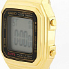 Наручные часы Casio A178WGA-1A