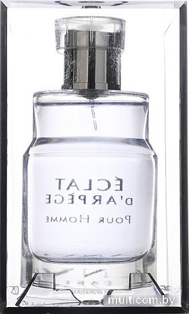 Туалетная вода Lanvin Eclat d'Arpege Pour Homme EdT (100 мл)