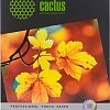 Фотобумага CACTUS Суперглянцевая A3 260 г/кв.м. 20 листов (CS-HGA326020)