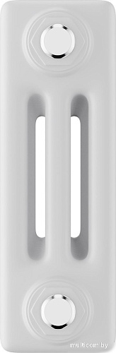 Стальной трубчатый радиатор Royal Thermo Insignia C3030 - 28 секций RAL9016