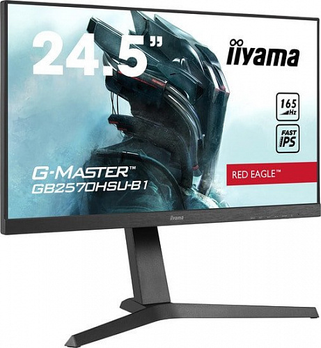 Монитор Iiyama G-Master GB2570HSU-B1