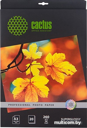 Фотобумага CACTUS Суперглянцевая A3 260 г/кв.м. 20 листов (CS-HGA326020)