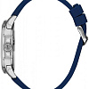 Наручные часы Daniel Klein 13379-2