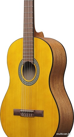 Акустическая гитара Ibanez GA3 OAM