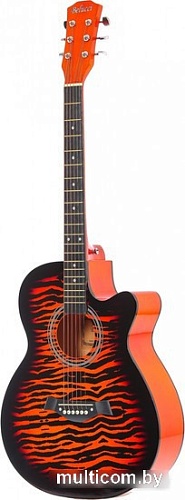 Акустическая гитара Belucci BC4030 BS