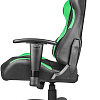 Кресло Genesis Nitro 550 (черный/зеленый)