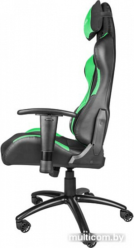 Кресло Genesis Nitro 550 (черный/зеленый)