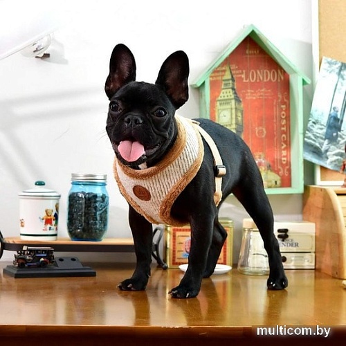 Шлейка Pinkaholic Zuri NASD-HA7505-BE-L (бежевый)