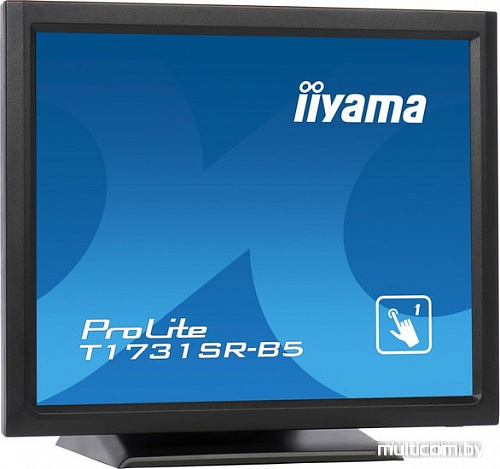 Монитор Iiyama ProLite T1731SR-B5