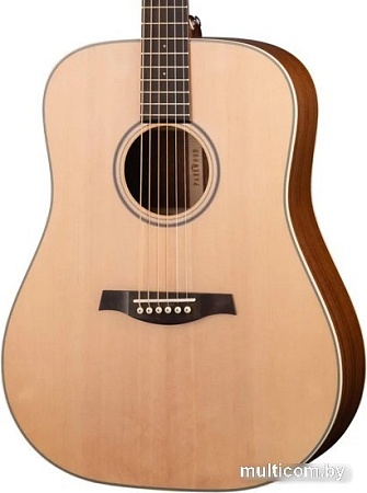 Акустическая гитара Parkwood S21-GT