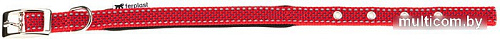 Ошейник Ferplast Daytona Deluxe C15/35 77202022 (черный/красный)