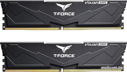 Оперативная память Team T-Force Vulcan 2x16ГБ DDR5 5600 МГц FLBD532G5600HC32DC01