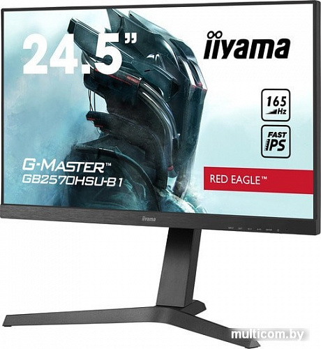 Монитор Iiyama G-Master GB2570HSU-B1