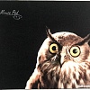 Коврик для мыши Dialog PM-H15 Owl