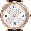 Наручные часы Fossil ES5295