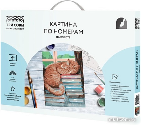 Картина по номерам Три совы Дневной сон КХ_44100