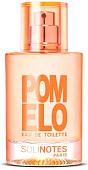 Парфюмерная вода Solinotes Pomelo EdP (50 мл)