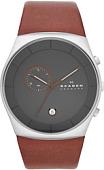 Наручные часы Skagen SKW6085