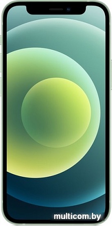 Смартфон Apple iPhone 12 mini 64GB (зеленый)