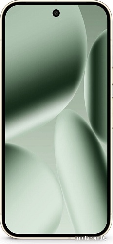 Телефон Google Pixel 10 Pro 16GB/256GB (нефрит)