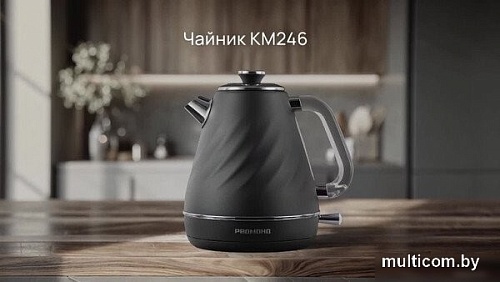 Электрический чайник Redmond (Редмонд) KM246