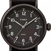 Наручные часы Timex TW2T20800