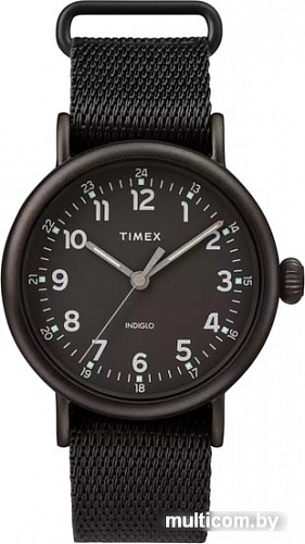 Наручные часы Timex TW2T20800