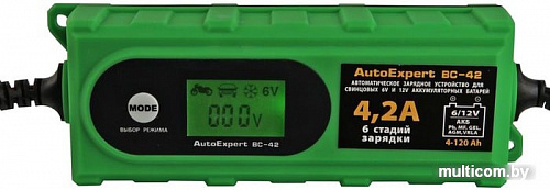 Зарядное устройство AutoExpert BC-42