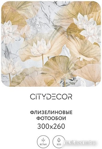 Фотообои Citydecor Blossom 21 300x260