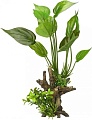 Искусственное растение Aqua Della Florascape 7 234/432112