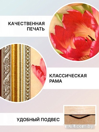 Картина Декарт 8Л0931