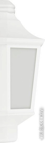 Уличный настенный светильник ЭРА НБУ 06-60-003 Ника Б0061160