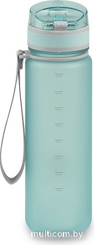 Бутылка для воды Арктика 720-500-CNM 500мл (голубой)