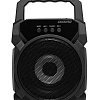 Беспроводная колонка Digma D-PS1500