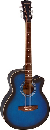 Акустическая гитара Elitaro E4020 BLS