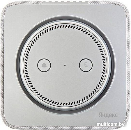 Умная колонка Яндекс Станция Макс (с хабом умного дома Zigbee, серый)