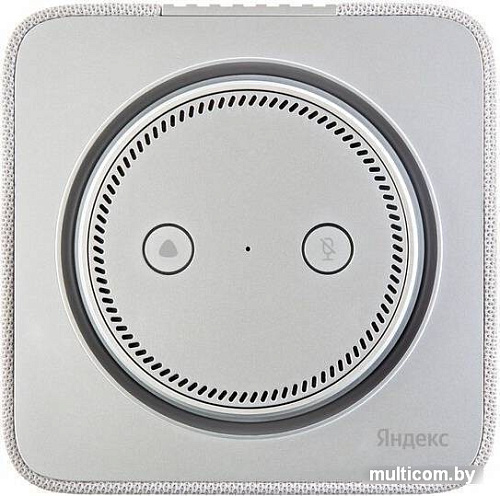 Умная колонка Яндекс Станция Макс (с хабом умного дома Zigbee, серый)