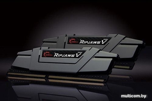 Оперативная память G.Skill Ripjaws V 2x16GB DDR4 PC4-32000 F4-4000C16D-32GVK