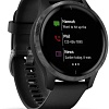 Умные часы Garmin Venu (черный/серый)