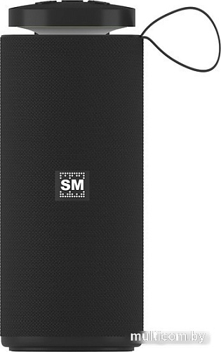 Беспроводная колонка Soundmax SM-PS5015B (черный)