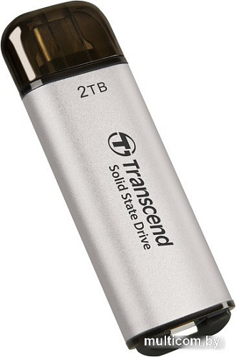 Внешний накопитель Transcend ESD300 2TB TS2TESD300S