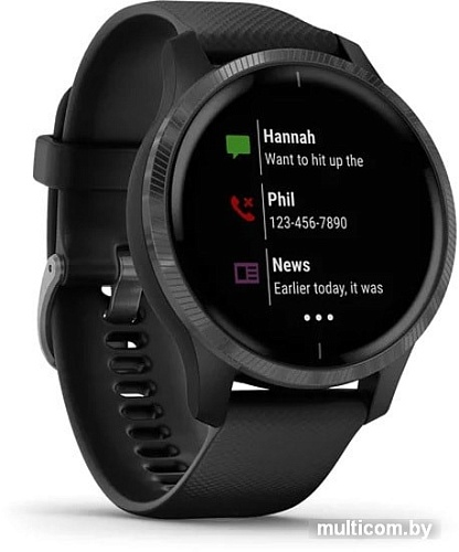 Умные часы Garmin Venu (черный/серый)