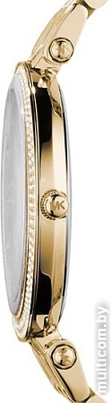 Наручные часы Michael Kors MK3191