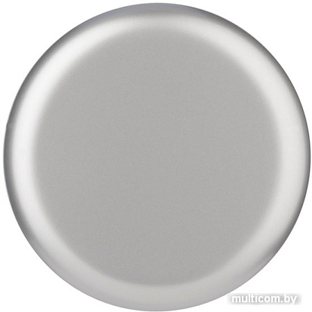 Термокружка Toppoint 98775SV 0.25л (серебристый)