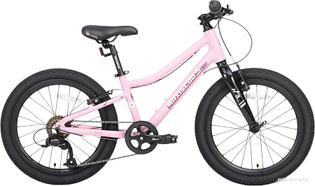 Детский велосипед Maxiscoo 3bike 20 L 2025 MSC-M3-2004 (розовый матовый, разобранный)