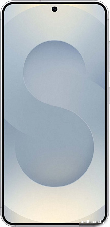 Samsung Galaxy S25 SM-S931B 12GB/256GB (серый)