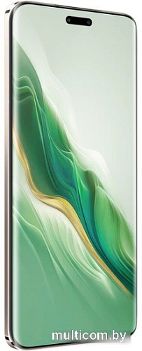 Смартфон HONOR Magic6 Pro 12GB/512GB международная версия (шалфейный зеленый)