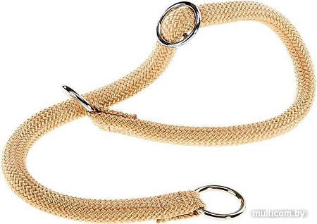 Ошейник-удавка Ferplast Sport CS8/50 75380299 (розовый)
