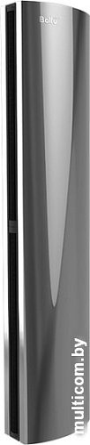 Тепловая завеса Ballu BHC-D25-W45-MS